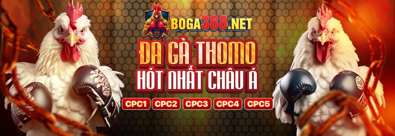 Đá gà trực tuyến llwin hiện đang mở